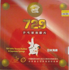 729 RITC Japan