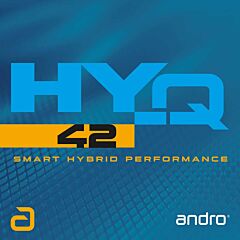 Andro HY-Q 42